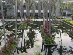 -半山半岛洲际度假酒店·观海廊