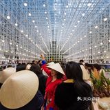 河内街头的市场 