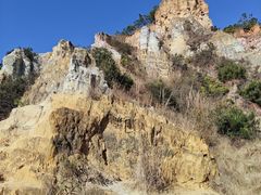 -彩色沙林风景区