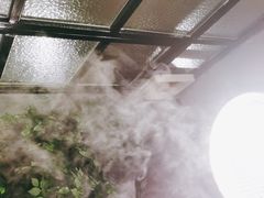 -鱼粤鲜淘米捞·中山脆肉鲩火锅(悦湖会店)
