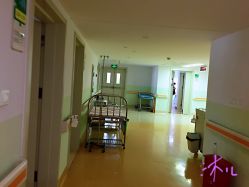 -苏州大学附属儿童医院(景德路院区)