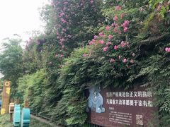 -金沙遗址博物馆