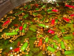 -麻麻鱼府主题涮锅(明珠家园店)