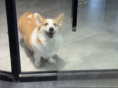 -MOLLY'S萌宠生活馆