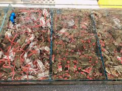 -半岛听涛蒸汽海鲜自助(K11店)