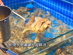 -乔哥铭洋海鲜自助(皇城恒隆广场店)