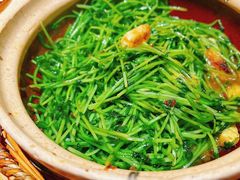 川香焗豆苗-廖川菜(八佰伴店)