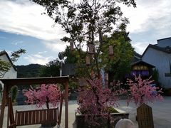 -婺源梦里老家大型山水实景演出