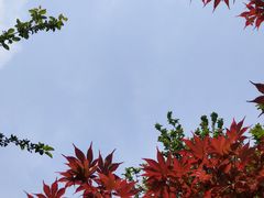 -海棠花溪(元大都城垣遗址公园)