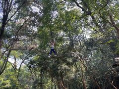 -WeLope紫金山探险公园
