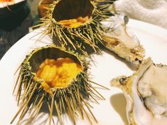 海胆-半岛翡丽海鲜自助餐厅(观风亭店)