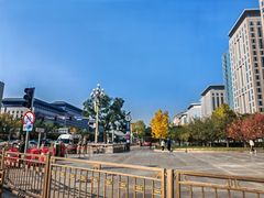 -北京医院