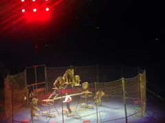 -珠海横琴长隆《卡卡虎奇遇记》