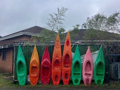 -上海海湾国家森林公园