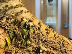 -阜昌典当行(阜成门店)