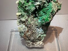 -湖南省地质博物馆