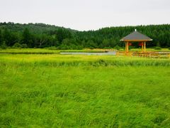 -乌兰布统草原