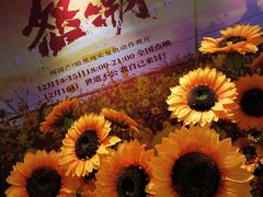 -英皇电影城(英皇集团中心IMAX店)