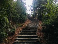 -狐尾山公园