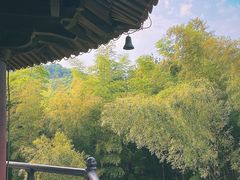 -天下玉苑