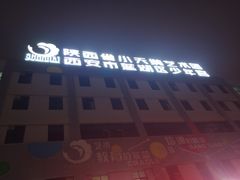 -陕西省小天鹅艺术团