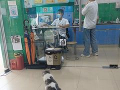 -瑞派动物医院·猫专科·至诚(江南中分院)