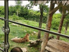 -西安秦岭野生动物园