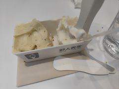 -野人先生现做冰淇淋(北京王府井东方新天地店)