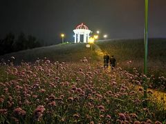 -密云玫瑰情园