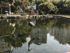 -苏州河梦清园环保主题公园