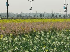 -中国天府农业博览园