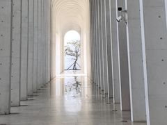 -中国宣纸文化园