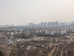-府君山公园