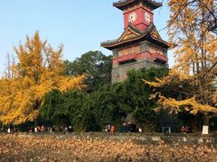 -四川大学(华西校区)