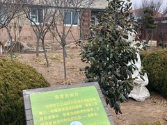 -烟墩角天鹅湖