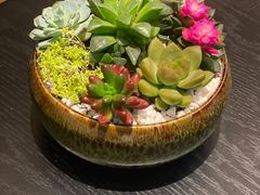 -谭厨中山传家菜.乳鸽.脆鲩鱼(华强北中航城店)