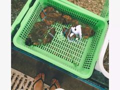 -碧桂园十里银滩