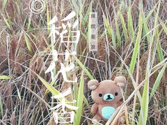 -龙脊梯田