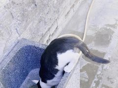-宣南文化博物馆