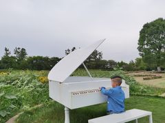 -杭州湾海上花田景区