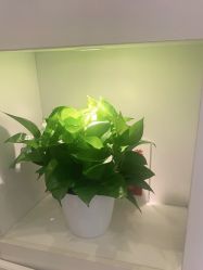 -壹加壹医疗美容·轻医美·美容外科
