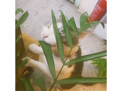 -小时光咖啡馆(北锣鼓巷店)