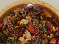 水煮吊龙牛肉-眉州东坡·熊猫主题餐厅(枫蓝店)