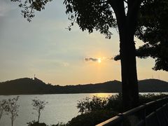 -鹤之洲湿地公园