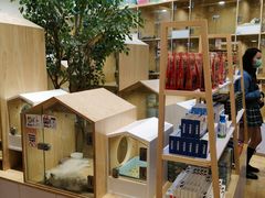 -屋虎猫馆(宝安大仟里店)