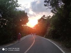 -梧桐山风景名胜区