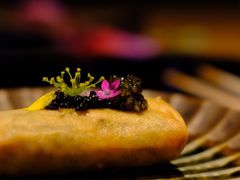 -辉·四季料亭·怀石料理·深夜食堂烧鸟·Omakase