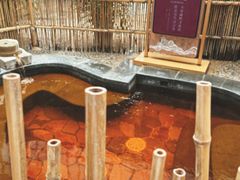 -白桦林温泉谷
