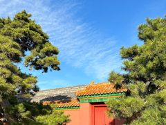 -故宫博物院(故宫)