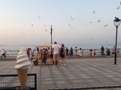 -东港音乐喷泉广场